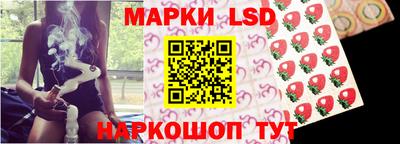 spice Кингисепп
