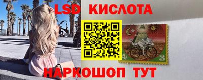молекула духа Кандалакша