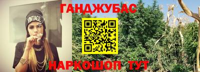 молекула духа Кандалакша