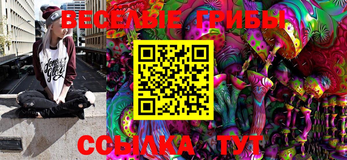 Псилоцибиновые грибы MAGIC MUSHROOMS Хасавюрт