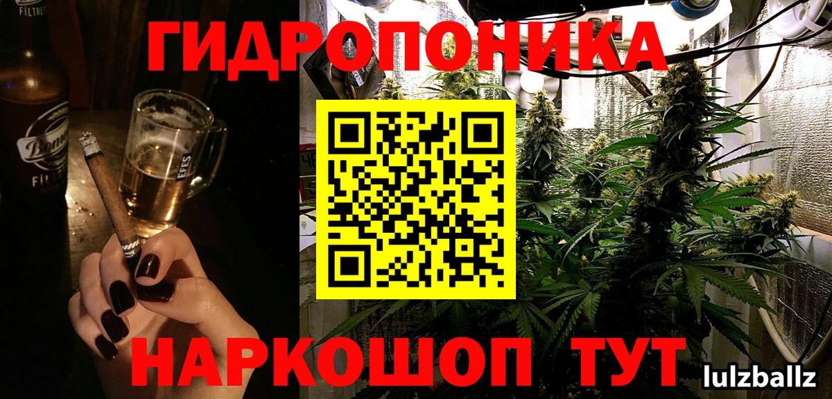 МАРИХУАНА план  Конопля гибрид  Хасавюрт  Вход с VPN 